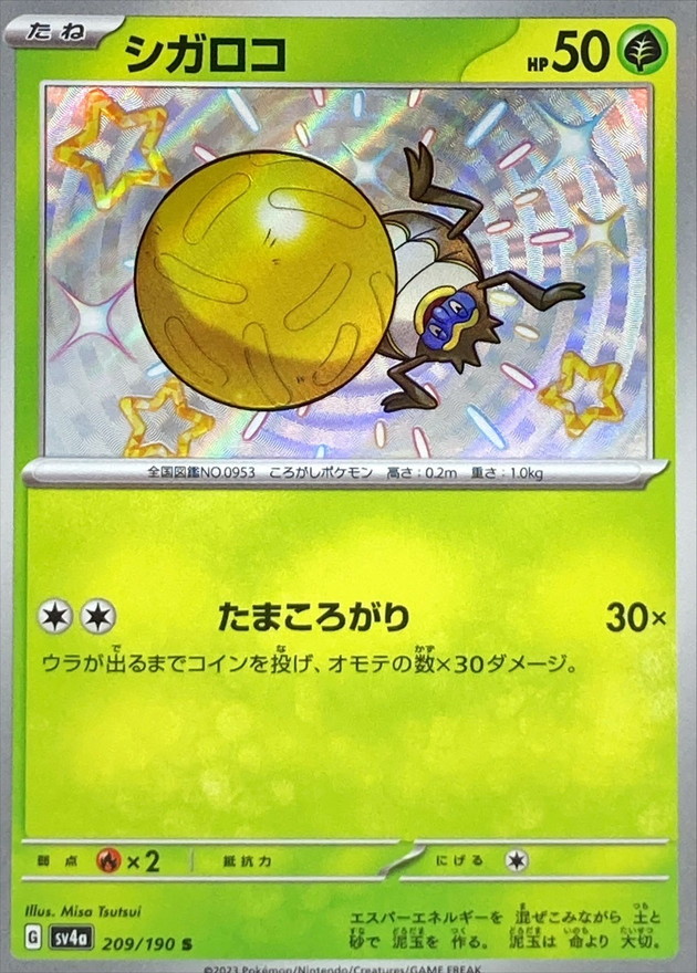 シガロコ