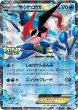 画像1: サトシゲッコウガEX(XY&Z)【P】{218/XY-P} (1)