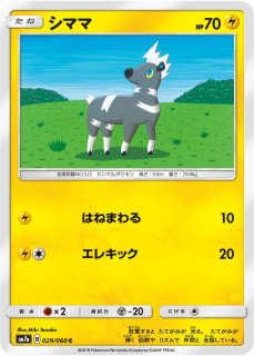 シママ - カードラッシュ[ポケモン]