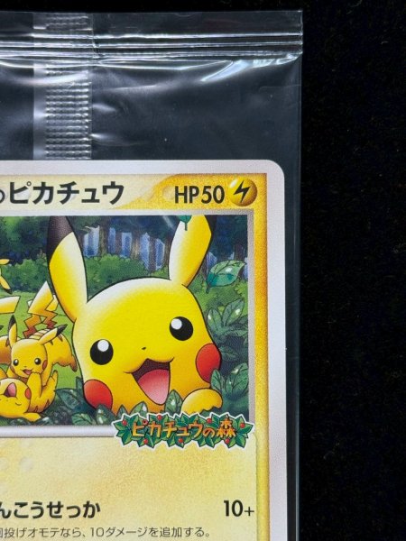 ポケパークのピカチュウ(未開封)【P】{043/PCG-P}