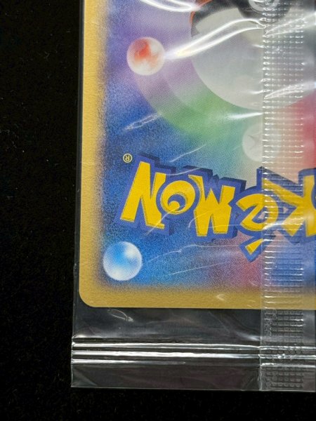 ポケパークのピカチュウ(未開封)【P】{043/PCG-P}