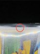 画像13: 〔状態A-〕日本代表のピカチュウ(未開封)【P】{050/XY-P} (13)