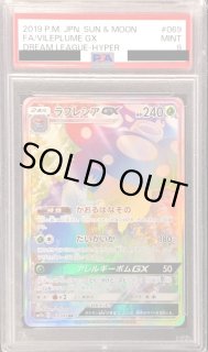 ラフレシアGX SA ラフレシアGX HR 2枚セット ラフレシアGX SA ラフレシアGX HR 2枚セット ラフレシアGX sa HR