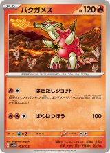 ポケカ　バクガメス バクガメス | ポケモンカードゲーム公式ホームページ