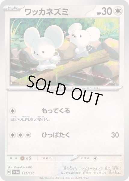 画像1: ワッカネズミ【-】{152/190} (1)