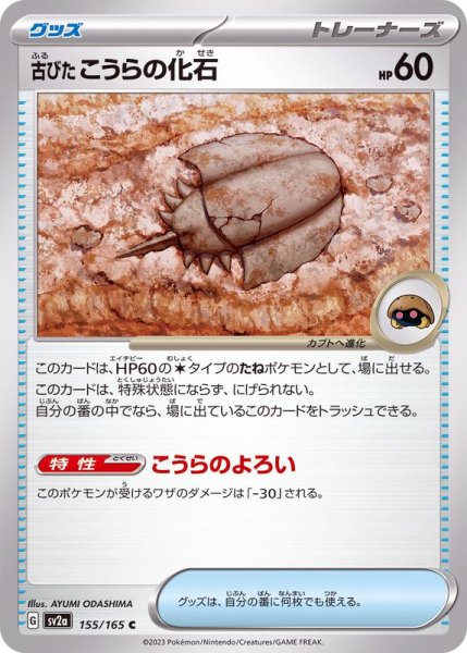 画像1: 古びたこうらの化石【C】{155/165} (1)