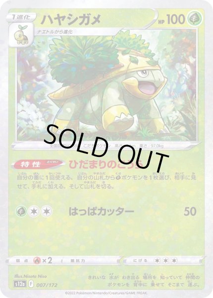 画像1: 〔状態A-〕ハヤシガメ(ミラー/ハイクラスパック仕様)【-】{007/172} (1)