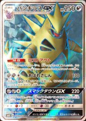 メガヤミラミ&バンギラスGX SR (SA) メガヤミラミ＆バンギラスGX(SA)【SR】{102/094}