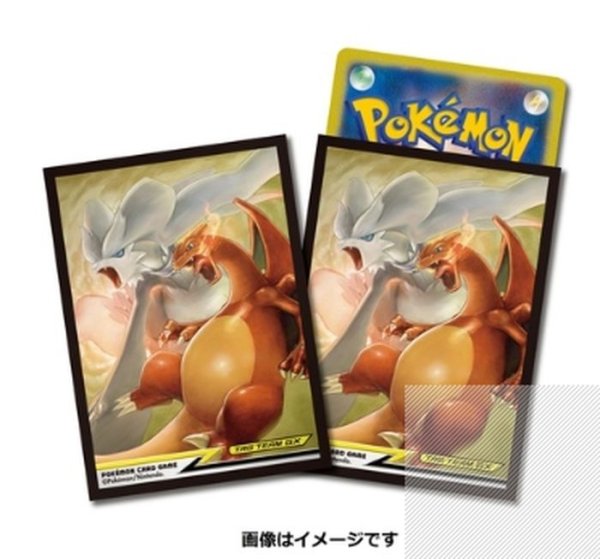 画像1: デッキシールド『レシラム＆リザードンTAGTEAMGX』64枚入り【サプライ】{-} (1)