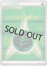 基本草エネルギー(ストライプ)【P】{XY-P}