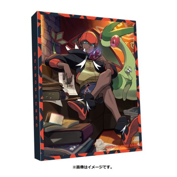 画像1: コレクションファイル『キバナの不屈』【サプライ】{-} (1)