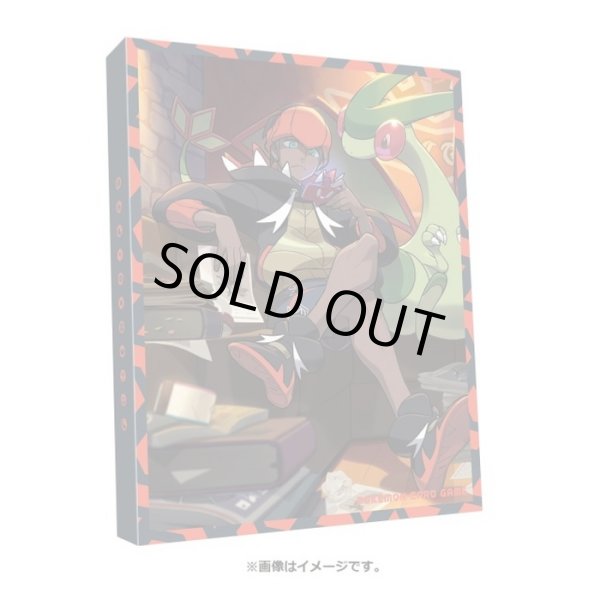 画像1: コレクションファイル『キバナの不屈』【サプライ】{-} (1)