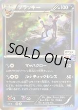 ブラッキー(ブラッキーナイトバトル優勝プロモ)【P】{140/XY-P}