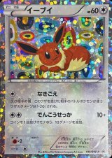 プロモーションカード】BW/XY - カードラッシュ[ポケモン]