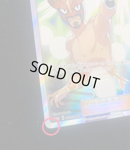 画像8: 〔状態B〕ロイヤルマスク(SR仕様)【P】{085/SM-P} (8)