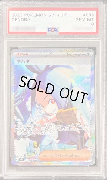 キハダ　sar psa10