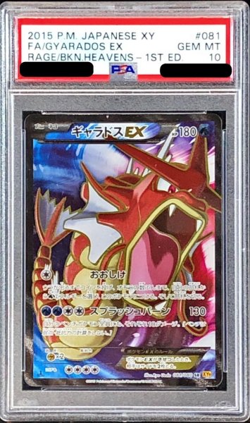 画像1: 〔※状態難/PSA10鑑定済〕ギャラドスEX【SR】{081/080} (1)