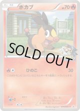 プロモーションカード】BW/XY - カードラッシュ[ポケモン] (Page 19)