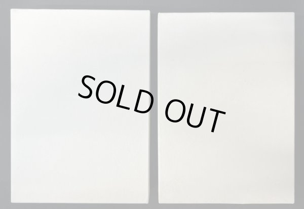 画像14: 勝利の証(チャンピオンズリーグ2022横浜3位/盾付き)【P】{-}  (14)