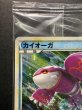 画像4: 〔状態A-〕カイオーガ(未開封/伝説ポケモンプレゼントキャンペーン)【P】{071/L-P} (4)