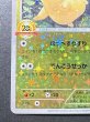 画像5: ピカチュウ(20thアニバーサリー)【P】{XY-P} (5)