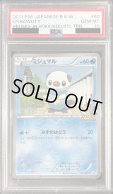 PSA10鑑定済〕ミジュマル【P】{080/BW-P}