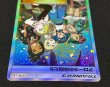 画像5: 〔状態B〕アローラの仲間たち(SR仕様)【P】{401/SM-P} (5)