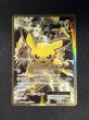 画像2: 〔状態B〕ピカチュウEX【SR】{094/087} (2)