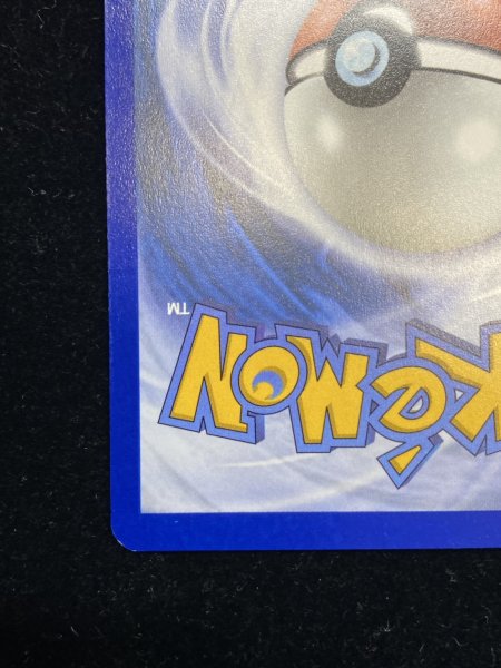 画像10: 〔状態A-〕パラダイスリゾート(2025/STAFF)【P】{SV-P} (10)