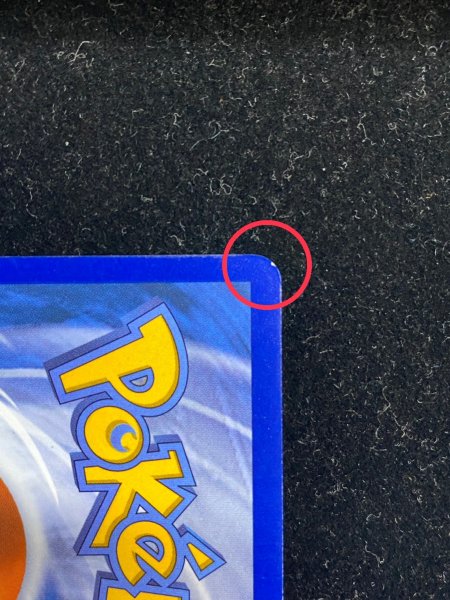 画像12: 〔状態A-〕パラダイスリゾート(2025/STAFF)【P】{SV-P} (12)