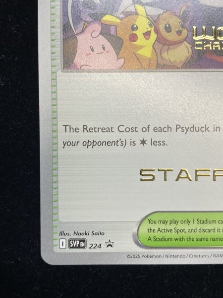 画像6: 〔状態A-〕パラダイスリゾート(2025/STAFF)【P】{SV-P} (6)