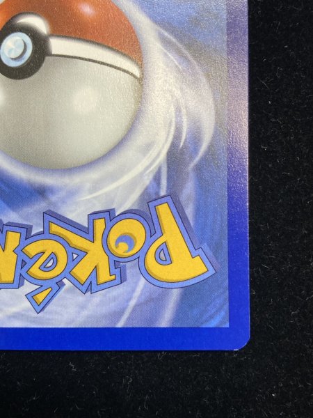 画像11: 〔状態A-〕パラダイスリゾート(2025/STAFF)【P】{SV-P} (11)