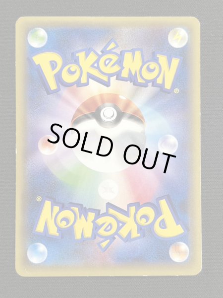 画像6: 〔状態C〕ポンチョを着たピカチュウ【P】{230/XY-P} (6)