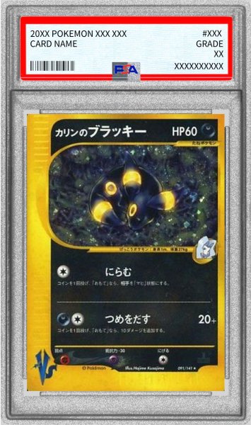 画像1: 〔※状態難/PSA10鑑定済〕カリンのブラッキー(VS)【☆】{091/141} (1)