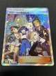 画像3: 〔状態A-〕アローラの仲間たち(SR仕様)【P】{401/SM-P} (3)