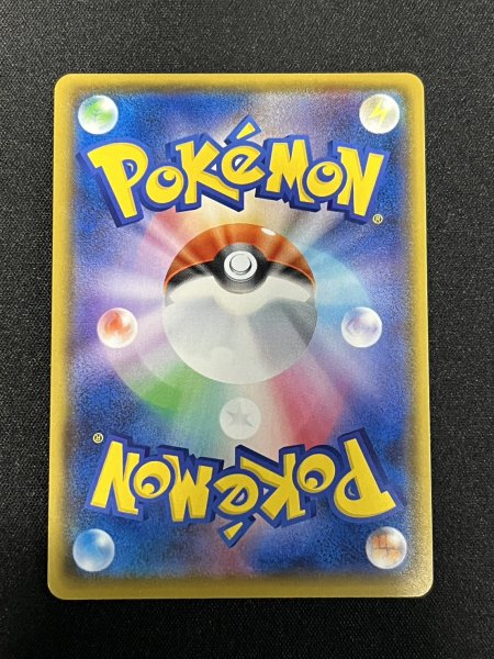 画像5: 〔状態A-〕アローラの仲間たち(SR仕様)【P】{401/SM-P} (5)