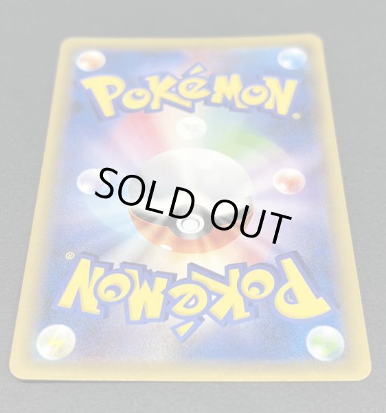 画像7: 〔状態A-〕ポンチョを着たピカチュウ【P】{231/XY-P} (7)