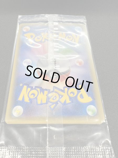 画像7: ポンチョを着たピカチュウ(未開封)【P】{208/XY-P} (7)