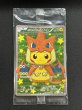 画像2: ポンチョを着たピカチュウ(未開封)【P】{208/XY-P} (2)