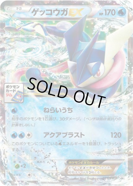 画像1: 〔状態C〕ゲッコウガEX【P】{021/XY-P} (1)