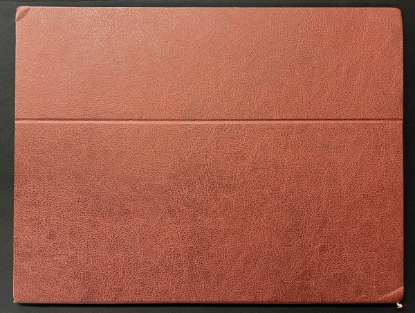 画像23: 〔状態C〕勝利のリング(バトルロードスプリング☆2003)【P】{-} (23)