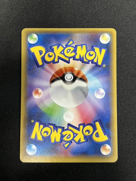 画像5: ポンチョを着たピカチュウ【P】{231/XY-P} (5)