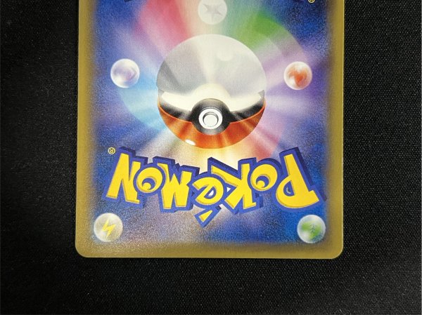 画像7: ポンチョを着たピカチュウ【P】{231/XY-P} (7)