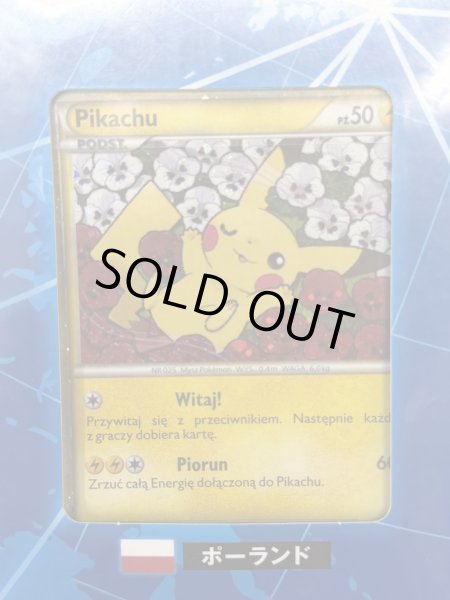画像10: ポケモンカードゲーム ピカチュウ ワールド(PW)【未開封パック】{-} (10)