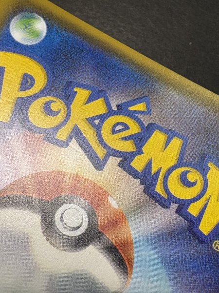 画像14: アローラの仲間たち(SR仕様)【P】{401/SM-P} (14)