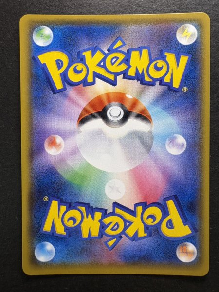 画像7: アローラの仲間たち(SR仕様)【P】{401/SM-P} (7)