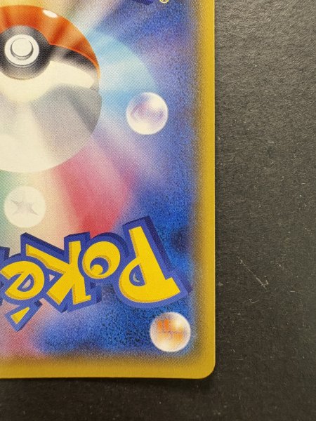 画像11: アローラの仲間たち(SR仕様)【P】{401/SM-P} (11)