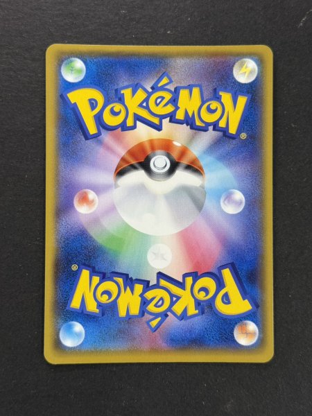 画像7: 〔状態A-〕アローラの仲間たち(SR仕様)【P】{401/SM-P} (7)