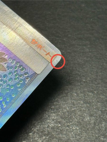 画像12: 〔状態A-〕アローラの仲間たち(SR仕様)【P】{401/SM-P} (12)