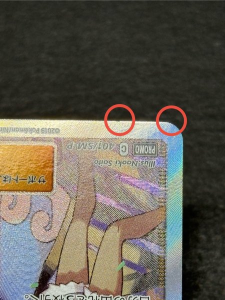 画像13: 〔状態A-〕アローラの仲間たち(SR仕様)【P】{401/SM-P} (13)